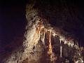 Orient Cave, Jenolan Caves IMGP2424
